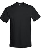 T-shirt Hanes adulto 50/50 Básicos