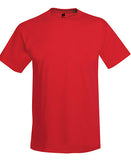 T-shirt Hanes adulto 50/50 Básicos