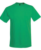 T-shirt Hanes adulto 50/50 Básicos