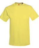 T-shirt Hanes adulto 50/50 Básicos