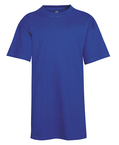 Hanes royal blue t shirt best sale