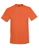 T-shirt Hanes adulto 50/50 Básicos