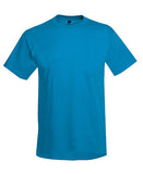 T-shirt Hanes adulto 50/50 Básicos